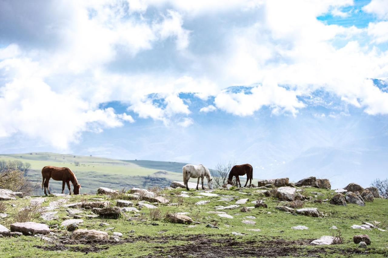 Apaga Resort Ijevan Exteriér fotografie